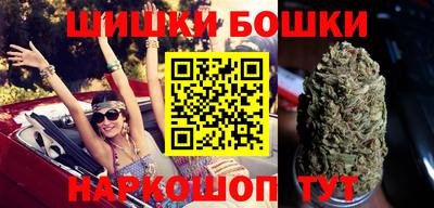 индика Нальчик