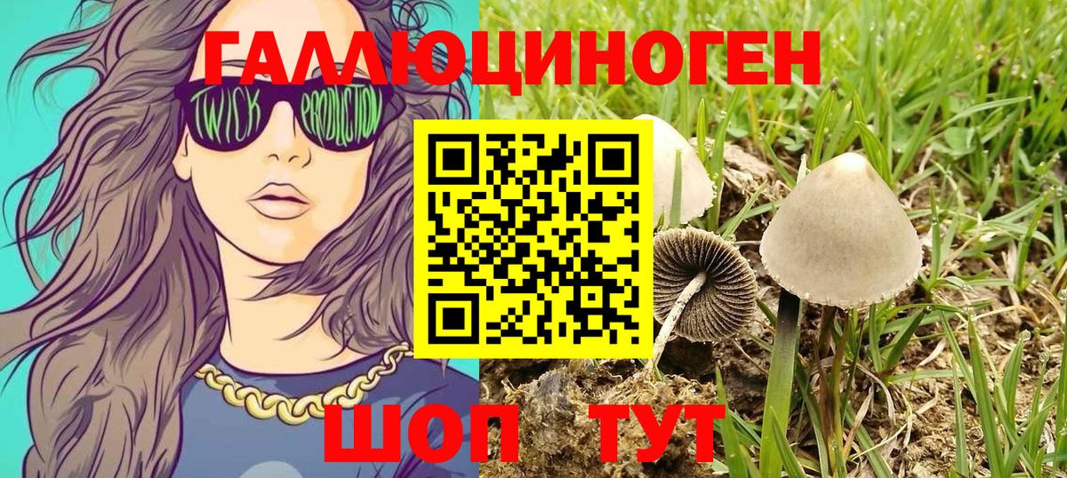 Псилоцибиновые грибы мицелий  Вход с VPN  Усть-Илимск 